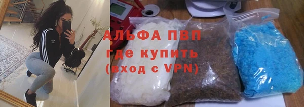 спайс Алзамай