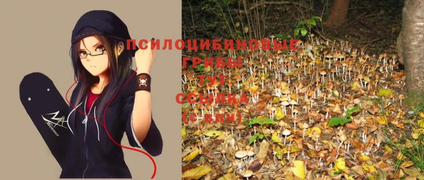 mix Алексин