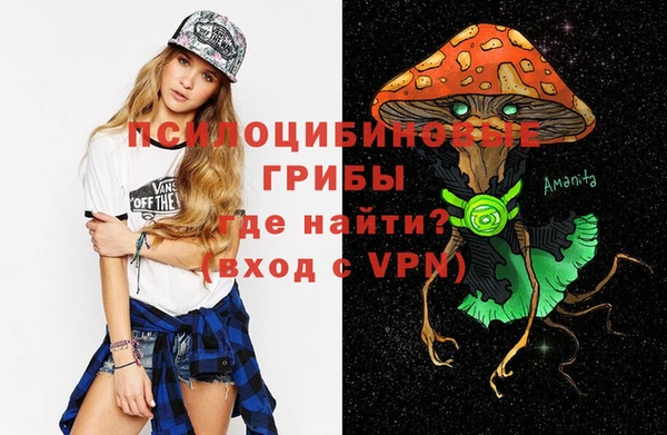 спайс Алзамай