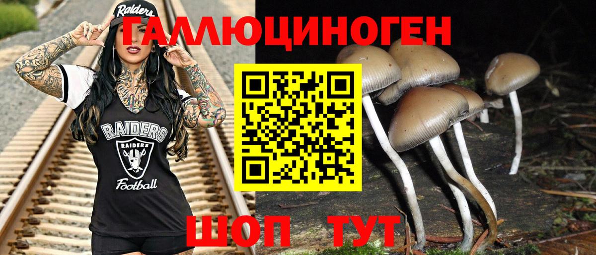 Галлюциногенные грибы Magic Shrooms  цена наркотик  Галлюциногенные грибы мицелий  Донской  Вход с VPN 